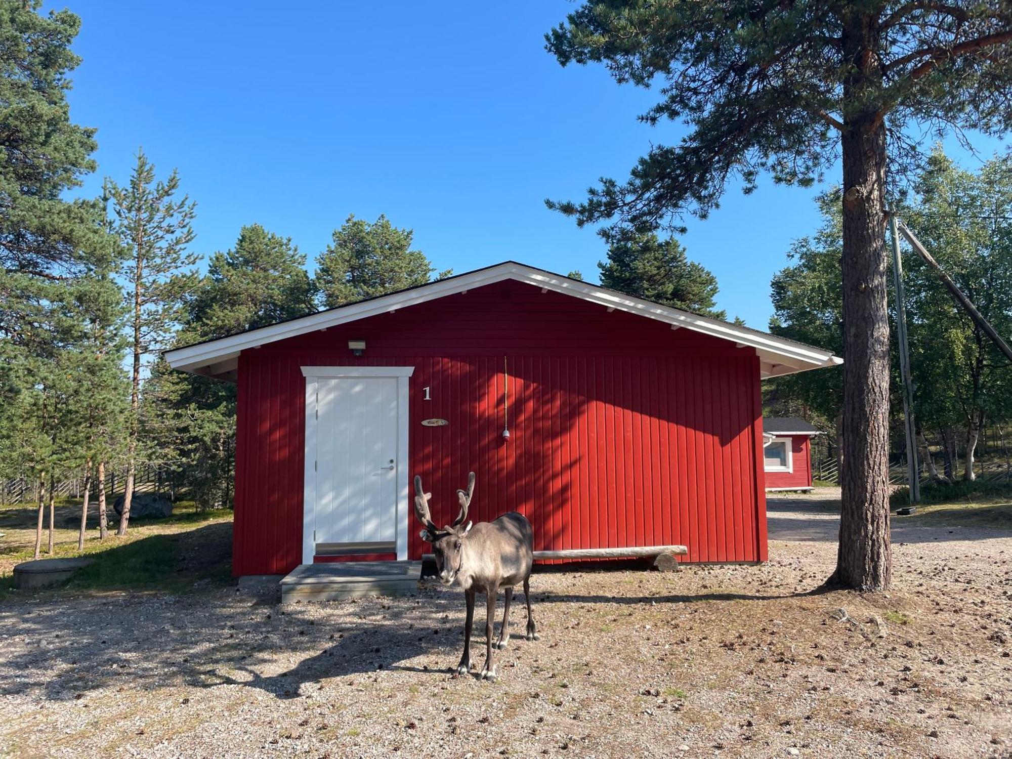 Porotila Toini Sanila 호텔 Sevettijärvi 외부 사진